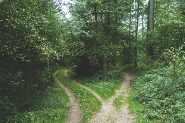 fork in the road